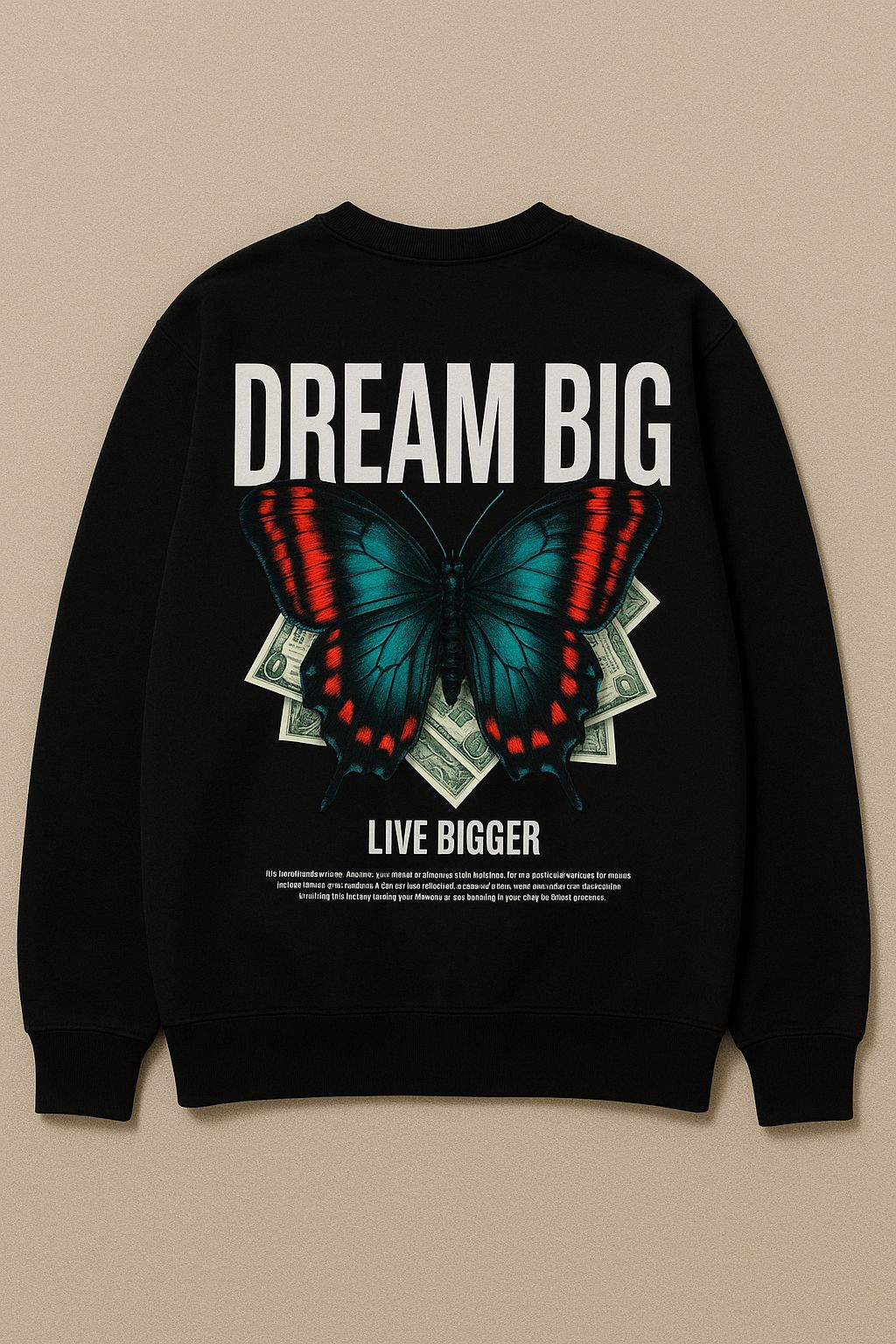 DREAM BIG HOODIE AND SWEATSHIRT